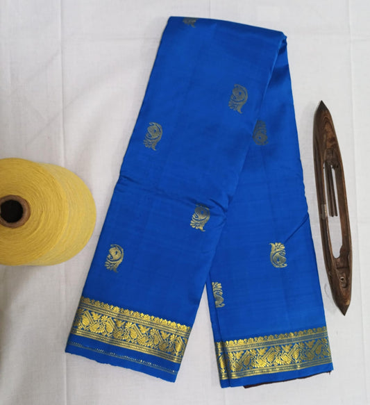 SR Nagar - Traditional Silk Saree
